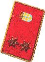 Oberbrandinspektor des LFKDO