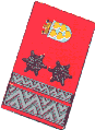 Oberbrandmeister des LFKDO