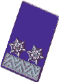Oberlöschmeister der Verwaltung 