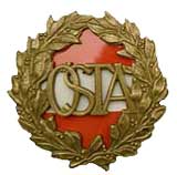 Strahlenschutzleistungs Abzeichen in Bronze