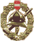 Leistungsabzeichen Gold
